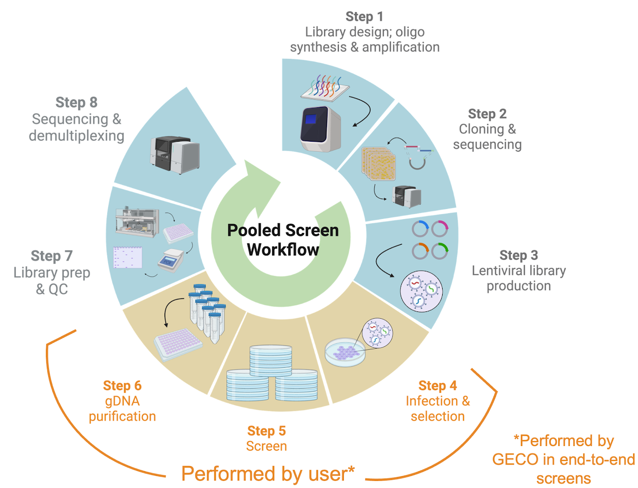 Circular workflow diagram showing the stages of a pooled CRISPR screen from library design to analysis